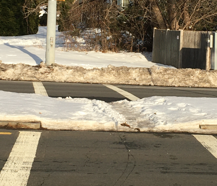 unplowed Rte 1 median refuge 740p crop